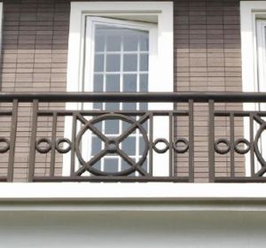 Iron railing 07